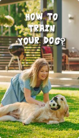 Everyone is Responsible for Spotty